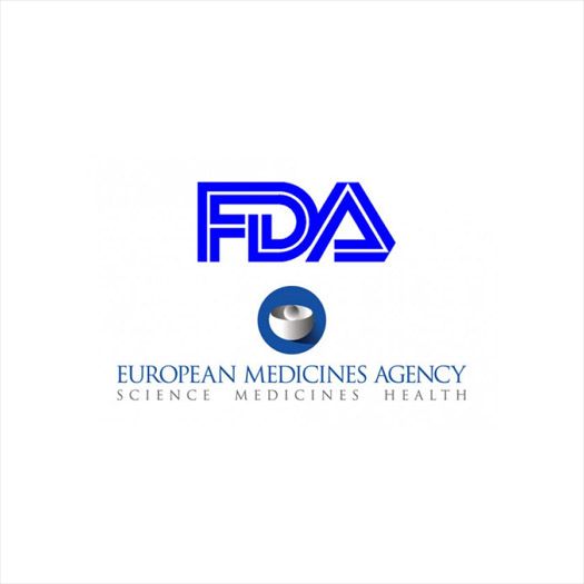 A Comparison of EMA and FDA Decisions for New Drug Marketing Applications
